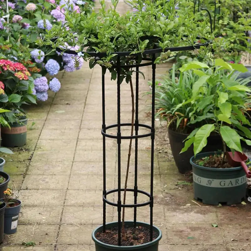 Semicircle Plant Trellis Stakes for Climbing Plants 90–210cm Plant Support Trellis Vue