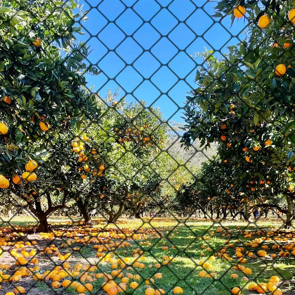 Nylon Bird Netting 25x50 FT – Garden, Coop & Fruit Tree Mesh Garden Protective Netting Vue