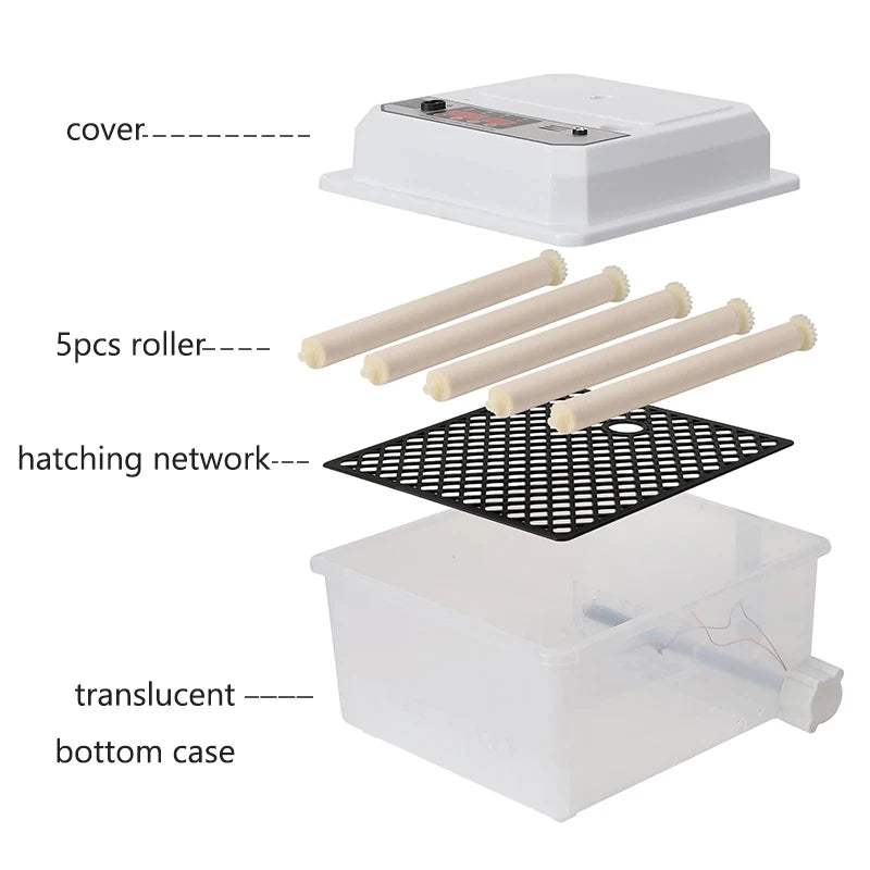 16 Eggs Dual-Electric Fully Automatic Turning Egg Incubator Household Farm Poultry Hatching Tool Chicken Ducks Birds Brooder Vue
