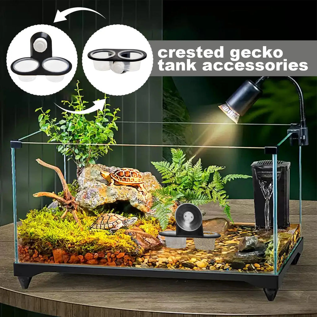 feeding table Reptile Food & Water Dish, Gecko Feeding Tray with Ledge, Small Pet Feeder for Frog Lizard Chameleon Hermit Crab Vue