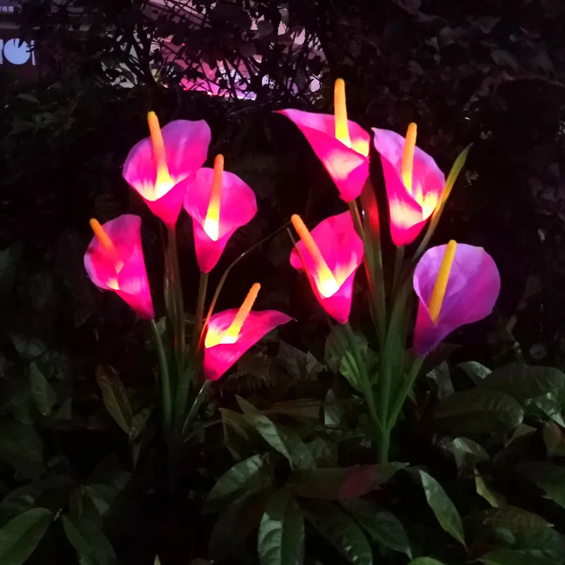 1/2pcs Solar-Powered LED Yard Lights Calla lily Floral Garden Decor Lamp Waterproof Outdoor Lawn Lighting Plug Light Vue