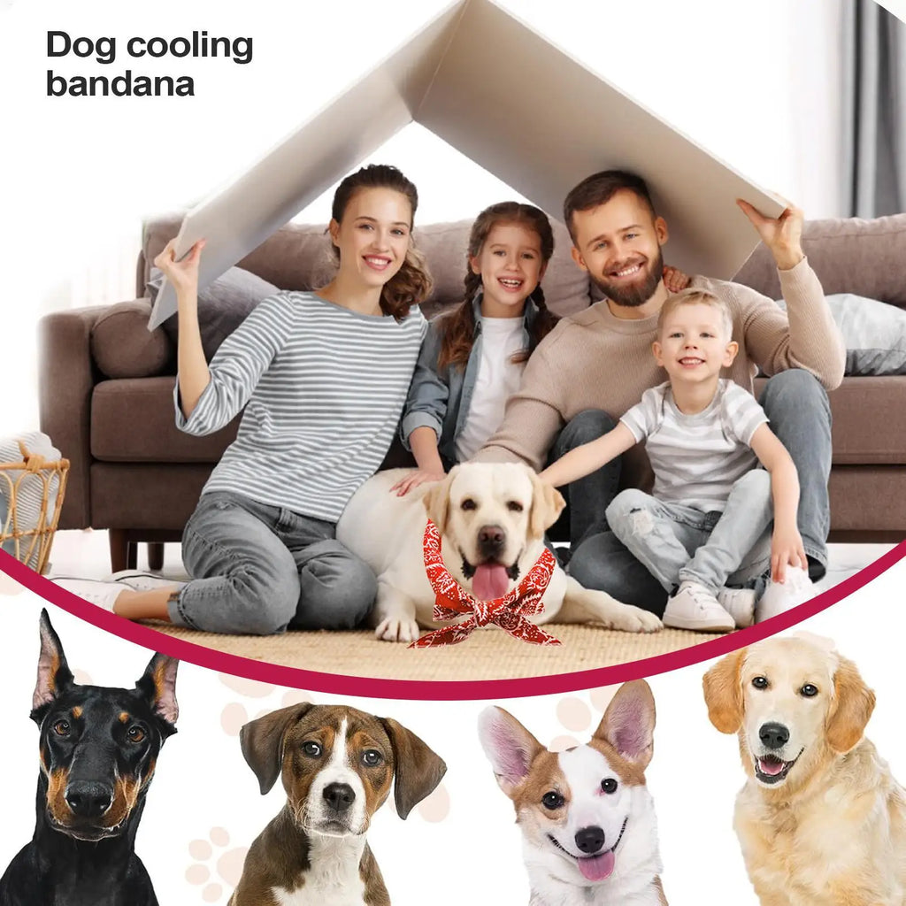 100CM Instant Cooling Dog Bandana, Absorbent Ice Towel Scarf Wrap, Reusable Pet Cooling Scarf for Small Medium Large Dogs Cats Vue