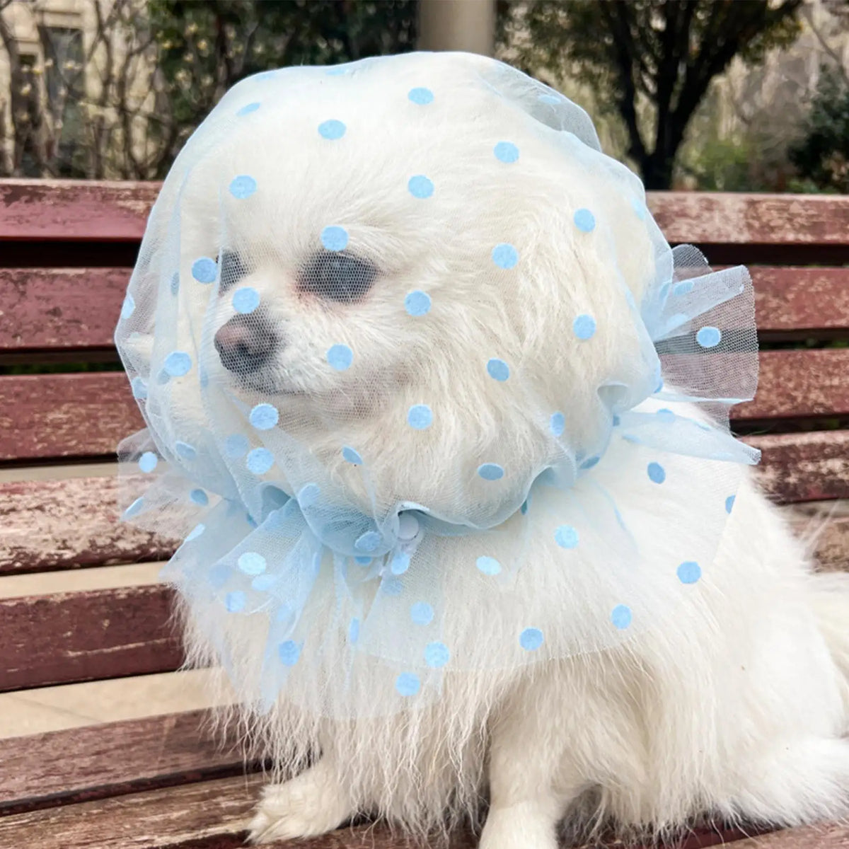 4Pcs Anti Pickup Dog Mesh Head Cover Adjustable Net for Puppy Cat Outdoor Walk Indoor Home Pet Training Scavenging Guard Vue