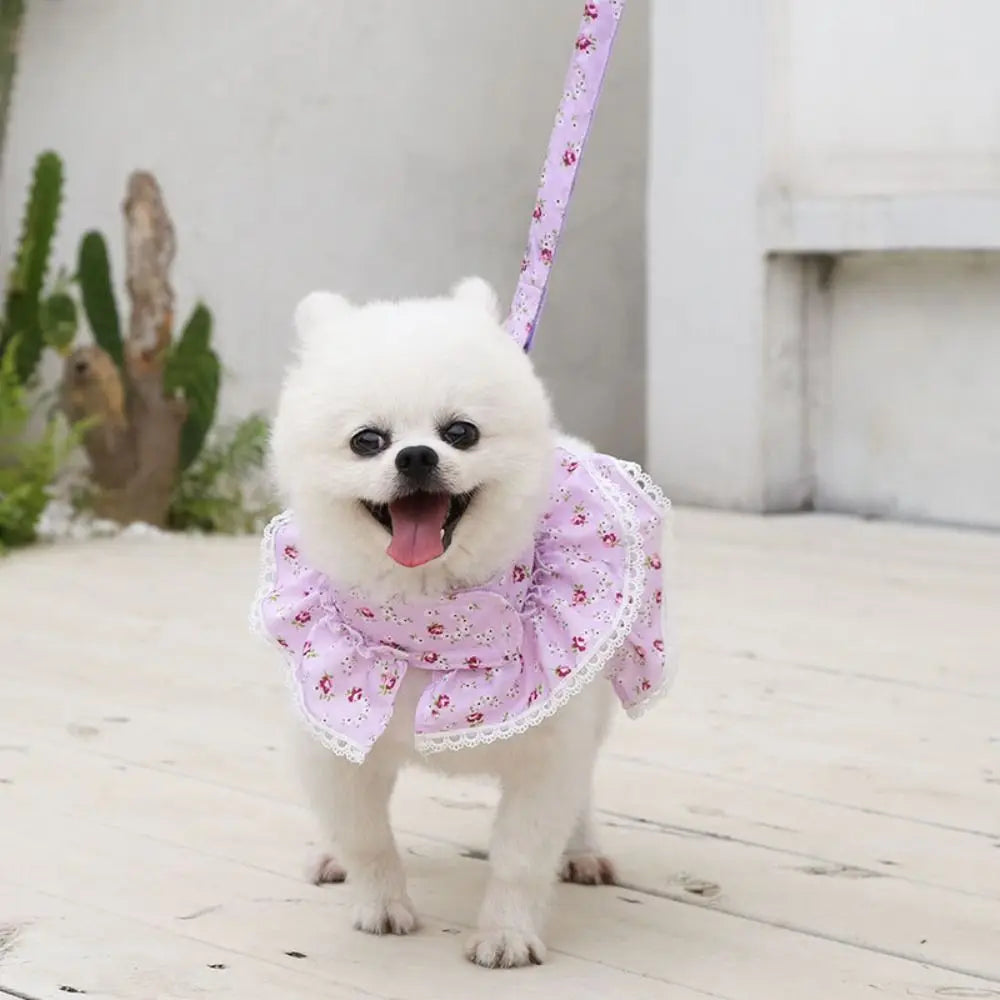 Kawaii Dog Harness Leash Set Adjustable Floral Design Pet Vest Style Harness With Leash Lace Dress Pet Chest Strap Training Use Vue