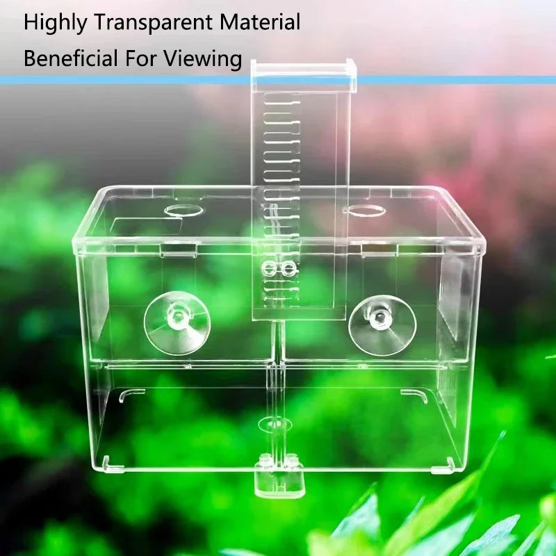 Acrylic Highly Transparent Aquarium Fish Breeding Isolation Box Fish Tank Aquarium Breeder Double Guppies Hatching Incubator Vue