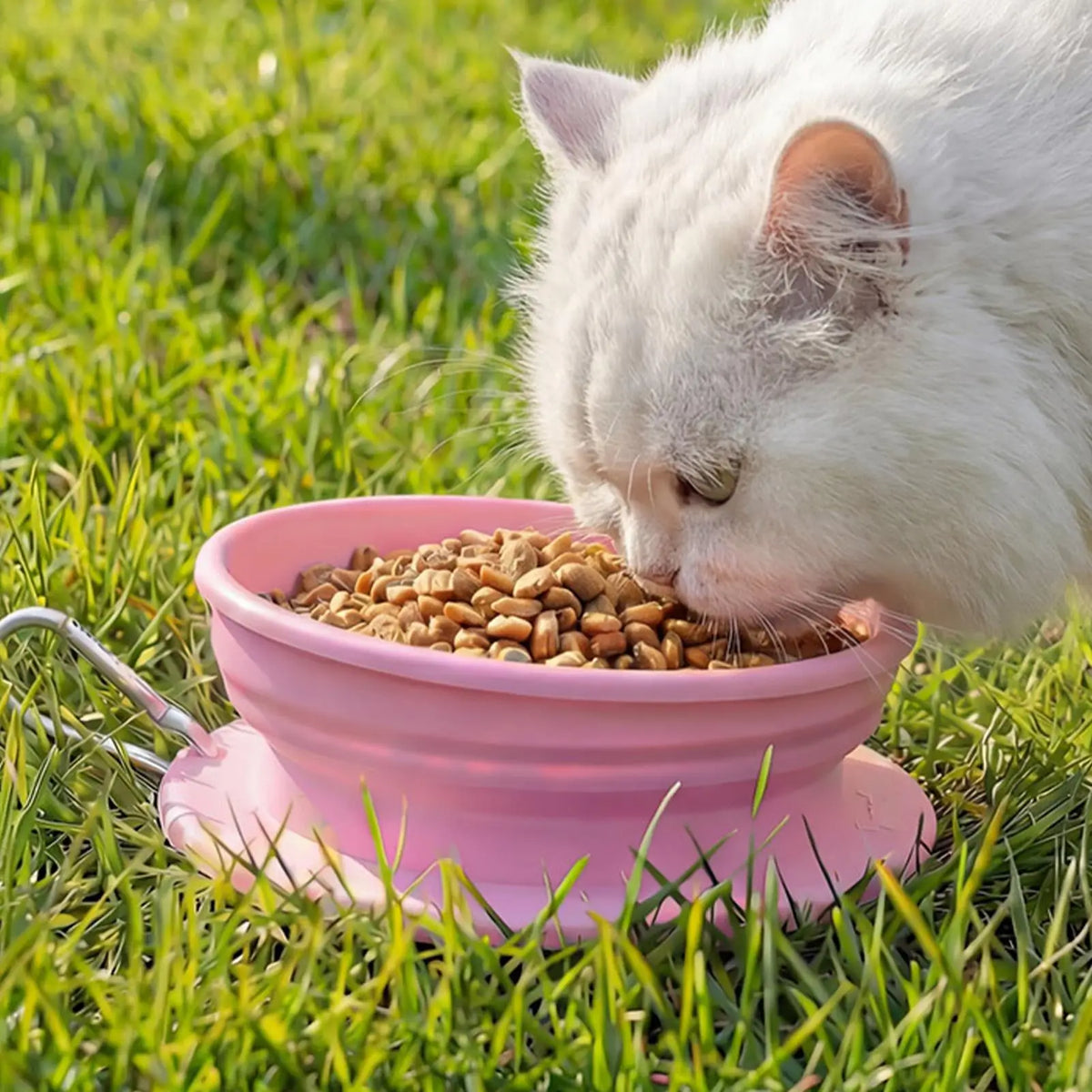 13.3x4.5cm Multipurpose Foldable Pet Bowl Foldable Dog Cat Food Water Feeding Container Compact Easy Carry Drinking Bowl Vue