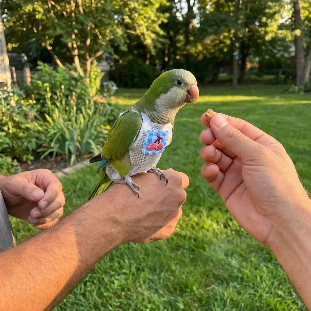 Breathable Parrot Flight Suit Anti-Bite Polka Dot Print Parrot Diaper Colorful Adjustable Outdoor Bird Clothes Keep Birds Clean Vue