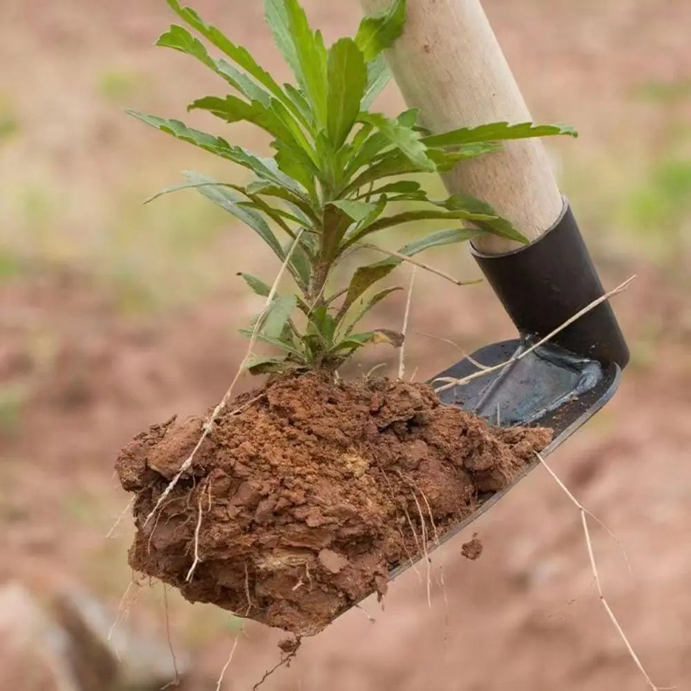 Durable Garden Hoe Household Outdoor Farming Tools Forging Weeding Hoe for Digging Soil Planting Vegetables Flowers Vue
