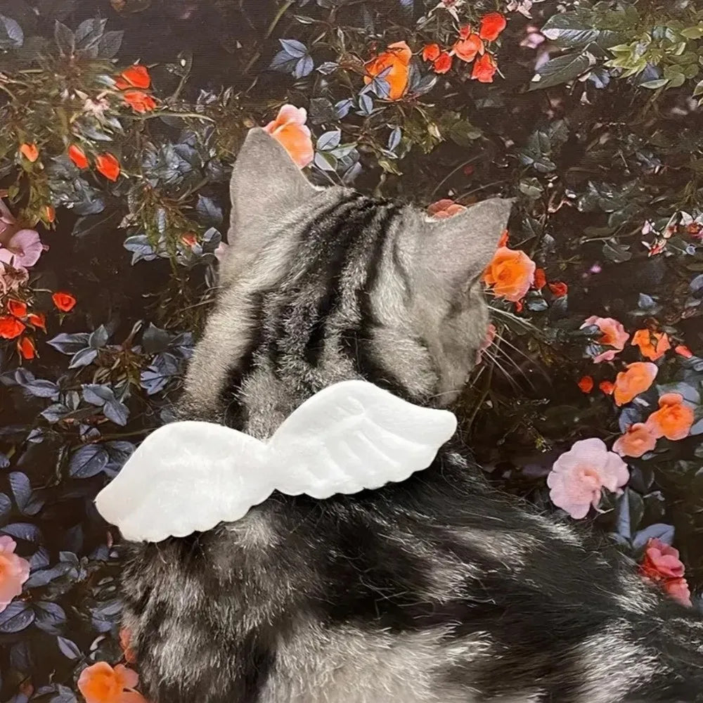 Decorative Adjustable Wings Cat Collar Lightweight Solid Color Pet Collar Soft Not Tight Nor Loose Pet Dressing Party Vue