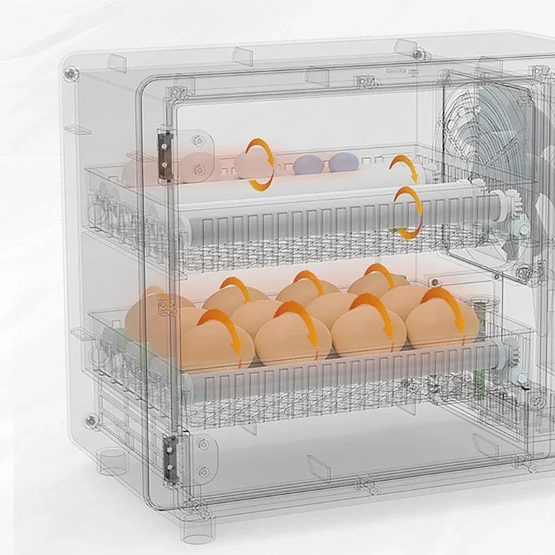 24-Egg Automatic Incubator for Chicken Quail & Bird Hatching Egg Incubator Vue