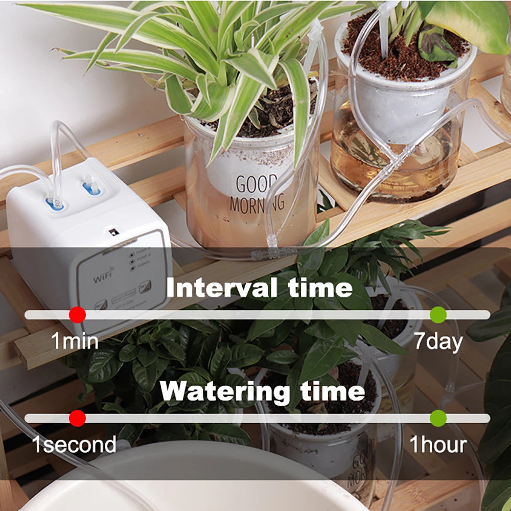 Smart APP Remote Control Auto Double Pump Watering Device Sprinklers System Balcony Flower Irrigation Garden Indoor Cultivation Vue