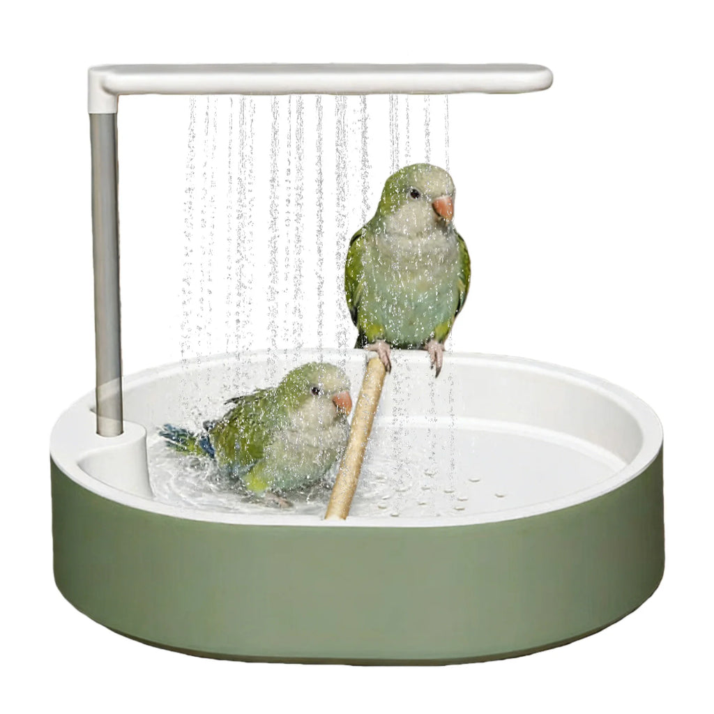 Automatic Parrot Bird Bath with Circulating Shower – USB Pump Bird Bath Fountain Vue