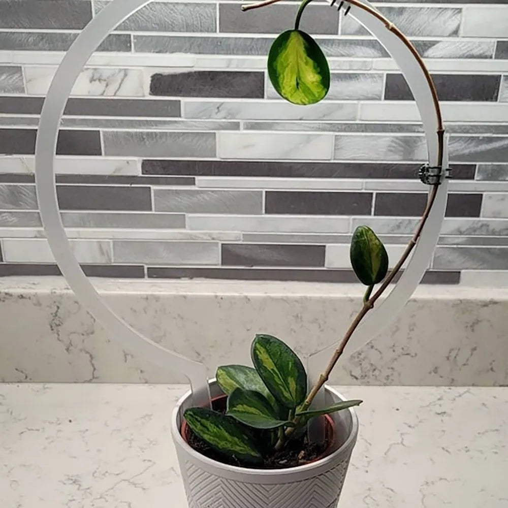 Transparent Acrylic Plant Bracket Round Shape Weather-resistant Climbing Plant Support Sturdy Plants Growth Stand Climbing Vines Vue