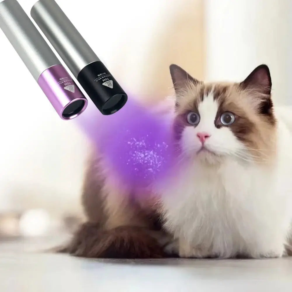 365nm Wavelength UV LED Flashlight 15 Watt Power Rechargeable Battery Ultraviolet LED Flashlight Filtered UV Light Vue