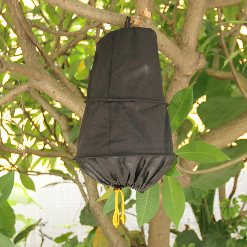 APWIKOGER 3-Layer Bee Catching Cage | Beekeeping Tool Bee Catching Cage Vue