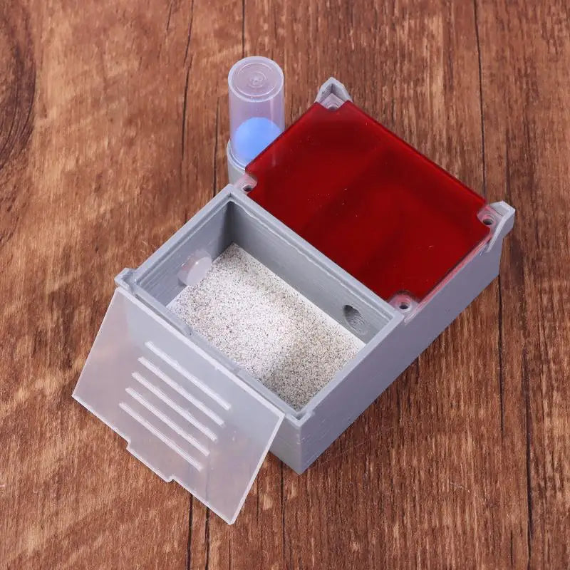 Four-Section Flat Ant Farm with Independent Rooms Ant Hill Nest House for Small & Medium Ant Colony Vue