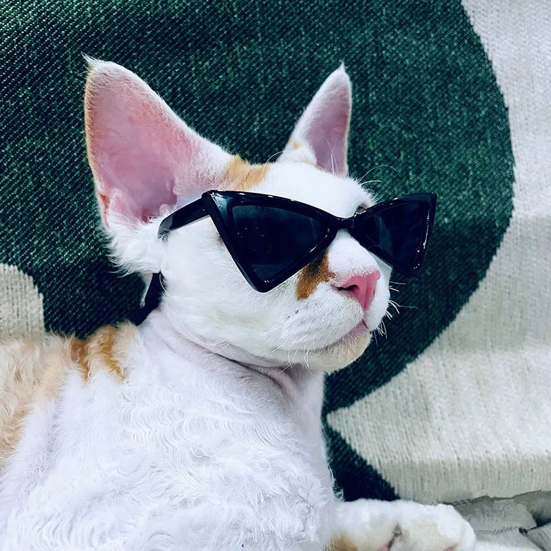 Pet Sunglasses Cat Glasses Pet Trendy Accessories Cool Creative Triangular Dog Glasses for Small Dog Cat Pet Decoration Vue