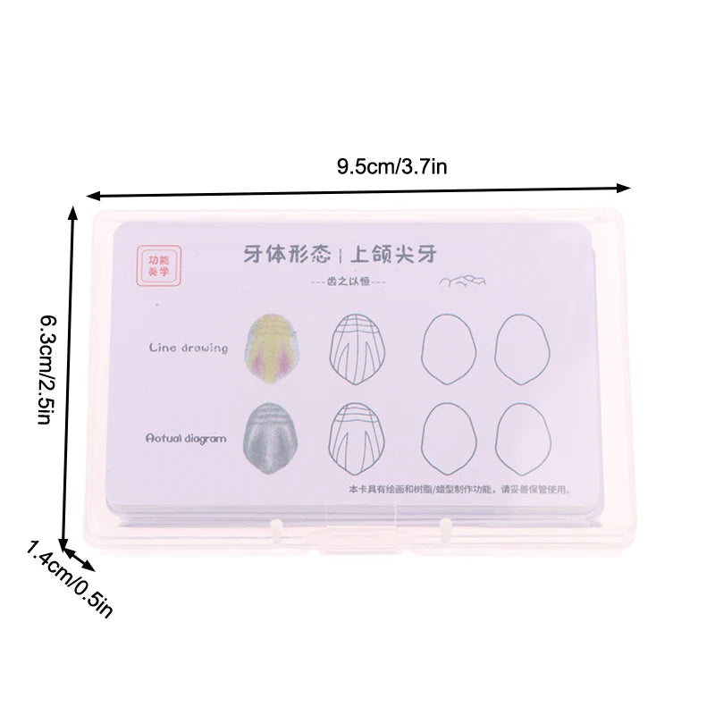 Dental Composite Filling Practice Board Model Teeth Template Restoration Cavity Dentist Anterior Posterior Practise Resin Stack Vue 1PCS