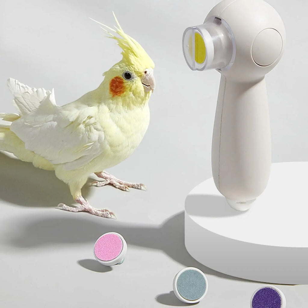Parrot Nail Trimmer Rechargeable Noiseless Beak Grinder Multipurpose Bird Care Supplies Nail Trimming Tool with 6 Grinding Heads Vue