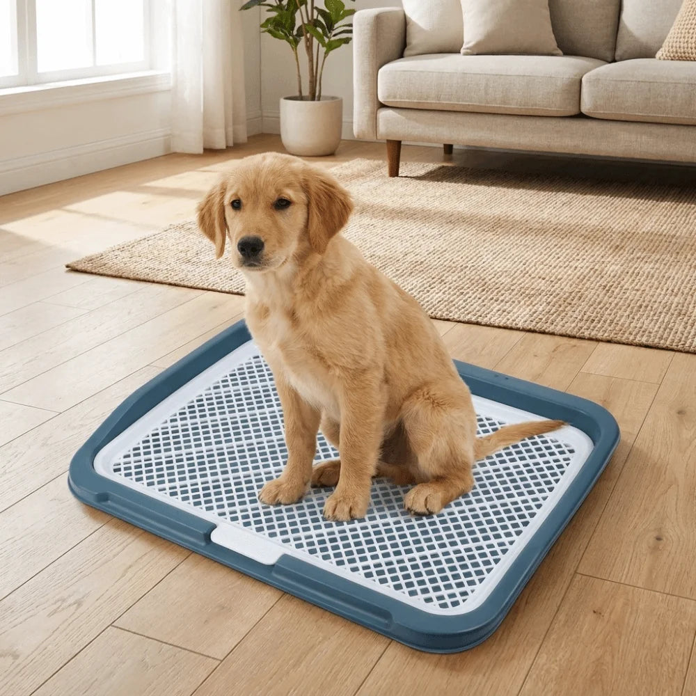 Easy Clean Puppy Potty Training Tray Detachable Mesh Dog Toilet Tray Leak Proof Reusable Dog Potty Training Toilet Vue