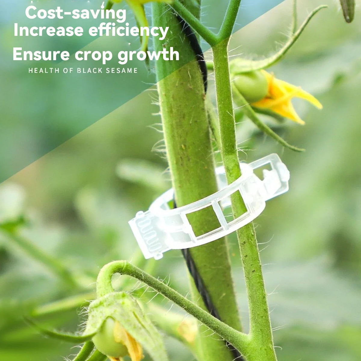 100-800PCS Plastic Plant Clips Support Connects Reusable Protection Grafting Fixing Tool Gardening Supplies for Vegetable Tomato Vue