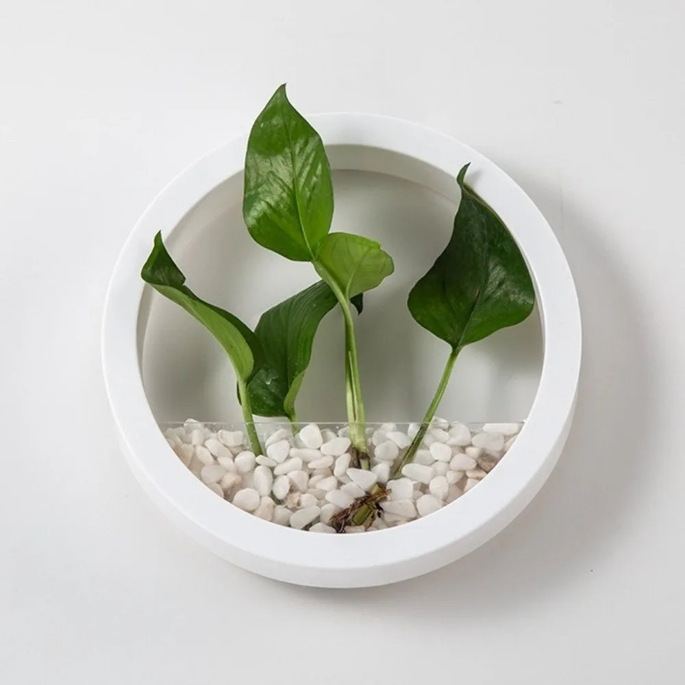 Planter Pot Round Wall-mounted Flowerpot Plastic Space Saving Plant Container Drill-Free Small Fish Tank Room Decoration Vue White