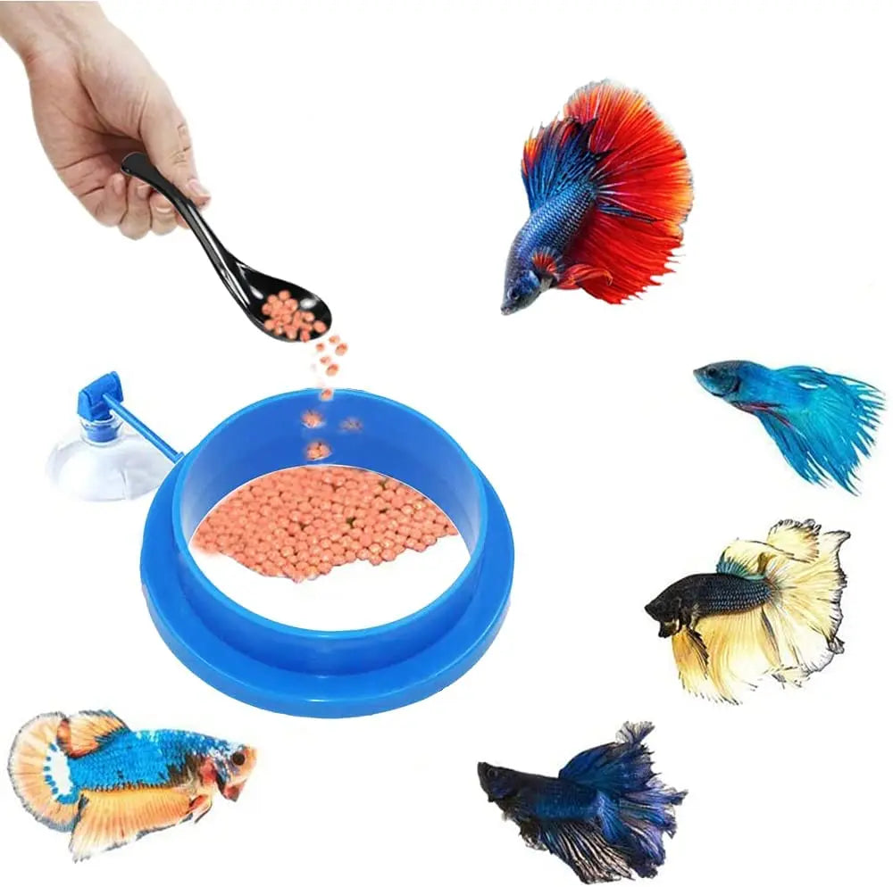 1pc Fish Feeding Supplies Plastic Buoyancy Circle Fish Tank Floating Food Tray Square/Round Aquarium Fish Food Feeding Ring Vue