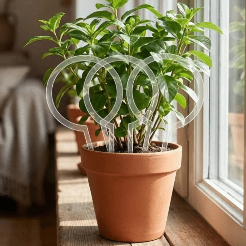 Transparent Acrylic Plant Bracket Round Shape Weather-resistant Climbing Plant Support Sturdy Plants Growth Stand Climbing Vines Vue