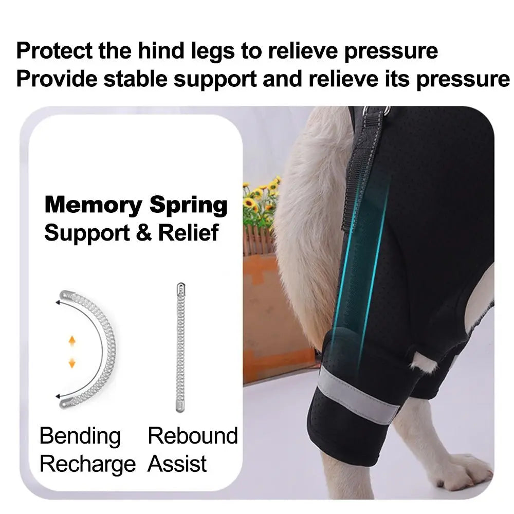 Legs Hip Support Dog Lift Harness Adjustable Black Pet Aid Assist Tool Breathable Soft Padded Dog Rear Leg Support Vue