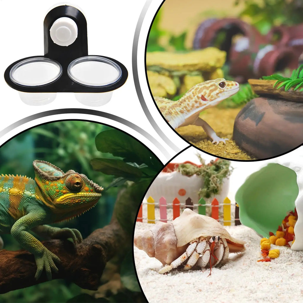 feeding table Reptile Food & Water Dish, Gecko Feeding Tray with Ledge, Small Pet Feeder for Frog Lizard Chameleon Hermit Crab Vue
