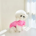 Comfortable Lace Pet Summer Vest Soft Breathable Cat Base Skirt Flying Sleeve Dog Clothes Small Animal Vue Rose Red XS