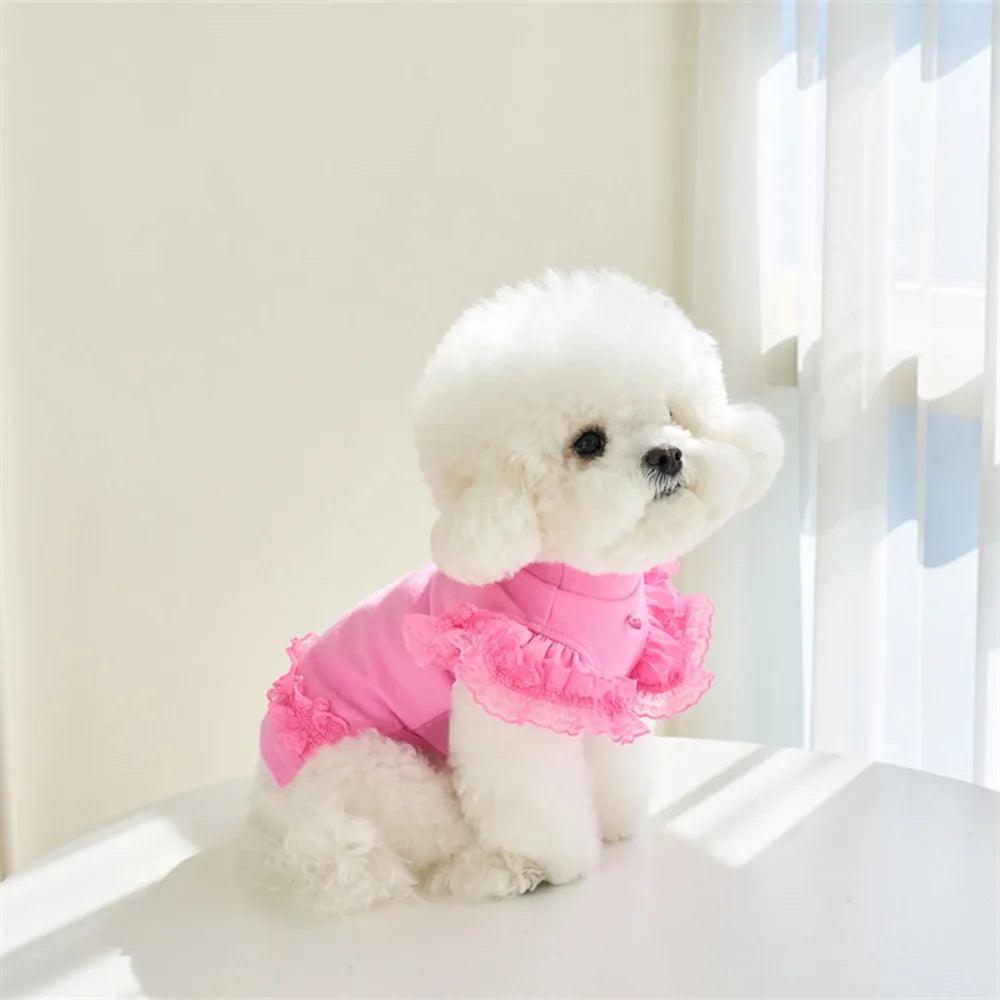 Comfortable Lace Pet Summer Vest Soft Breathable Cat Base Skirt Flying Sleeve Dog Clothes Small Animal Vue Rose Red XS