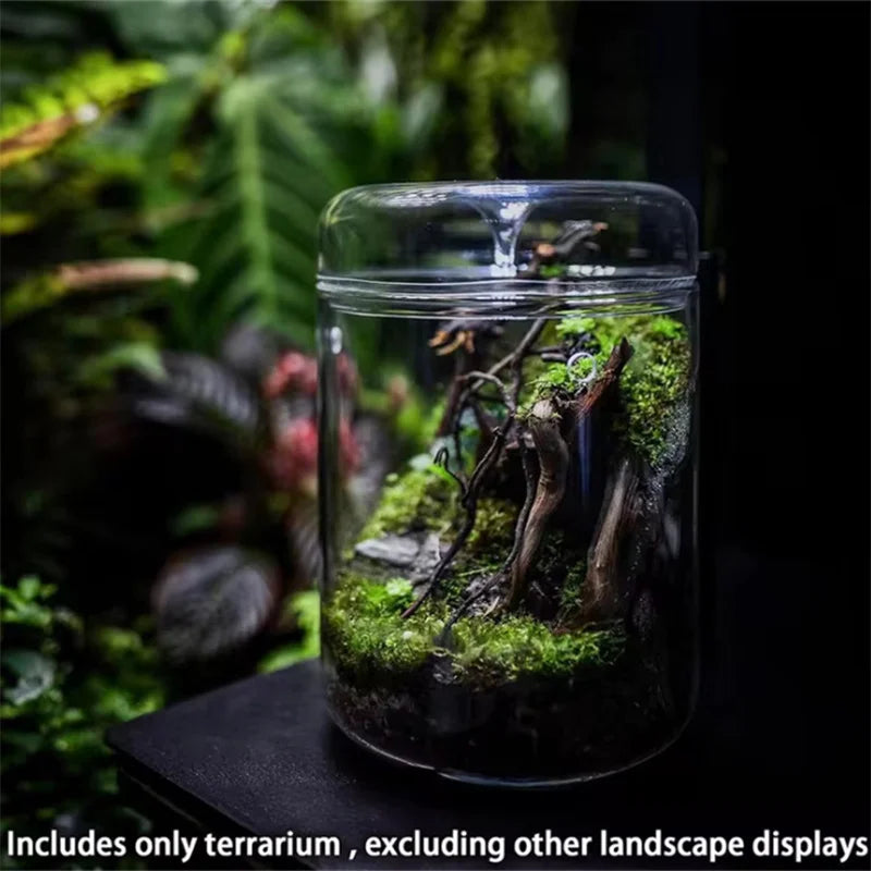 Glass Bottles Creativity Dew Collection Vase Micro Landscape