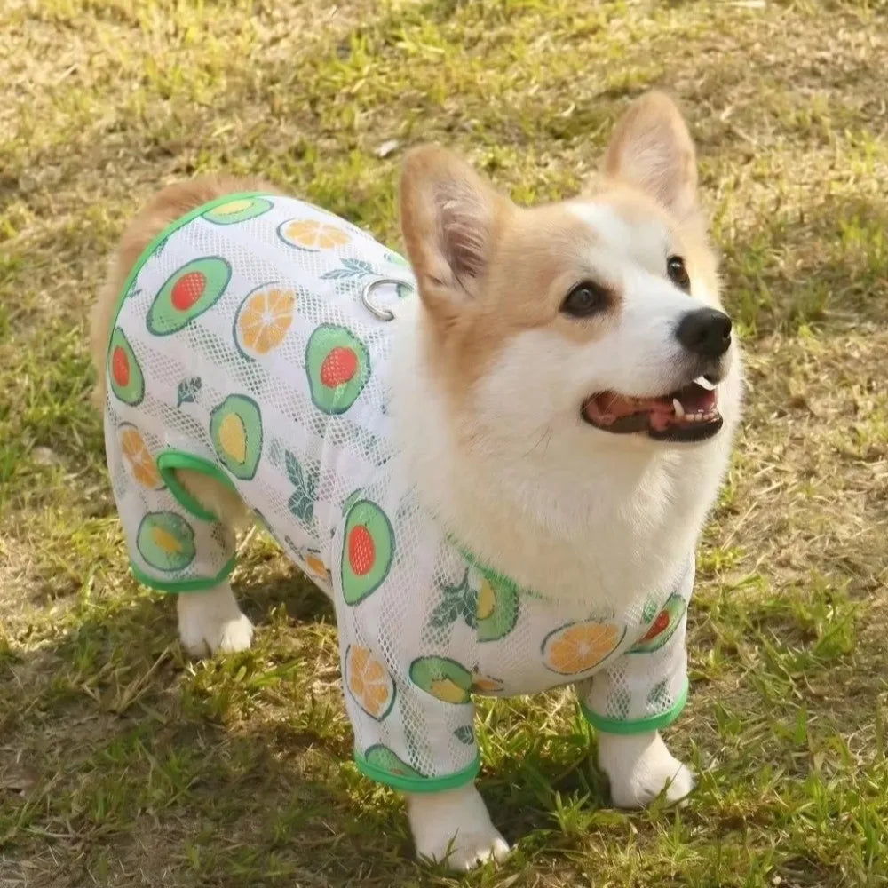 Cute Thin Breathable Pet Cooling Jumpsuit Mesh Fruit Pattern Pet Four Legged Clothes Comfortable Dog Sunscreen Clothing Outdoor Vue