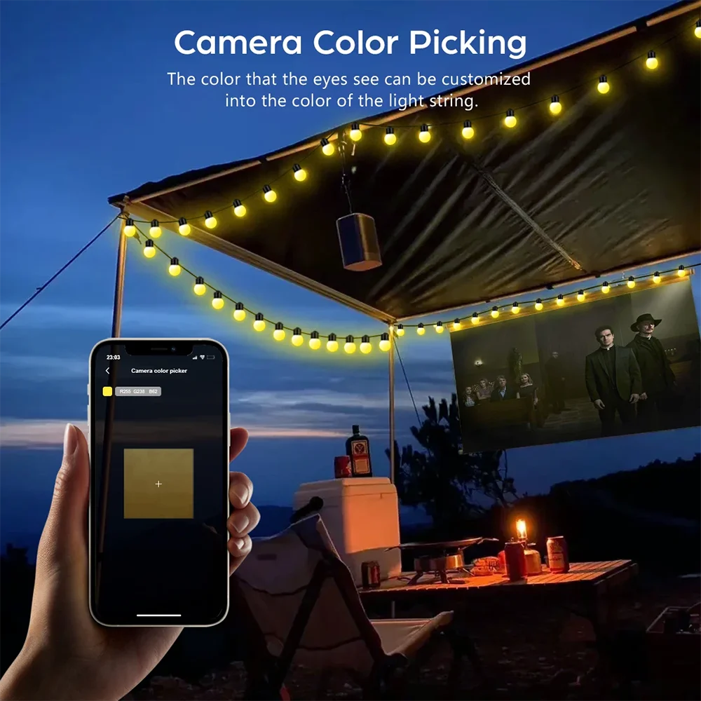 WS2812B RGB LED String Garland Light 10m 5m Smart IC APP Bluetooth Remote Fairy Lights Dreamcolor Garden Party Christmas Decor Vue