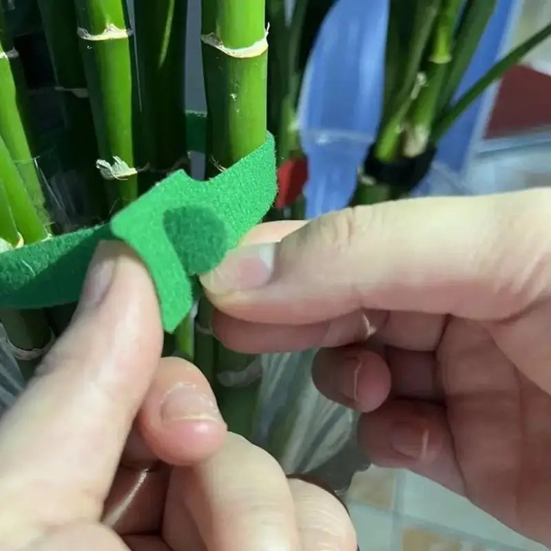 Adjustable Plant Ties 50 100 200pcs Nylon Reusable Non Slip Hook for Balcony Garden Flower Stalk Binding Vue