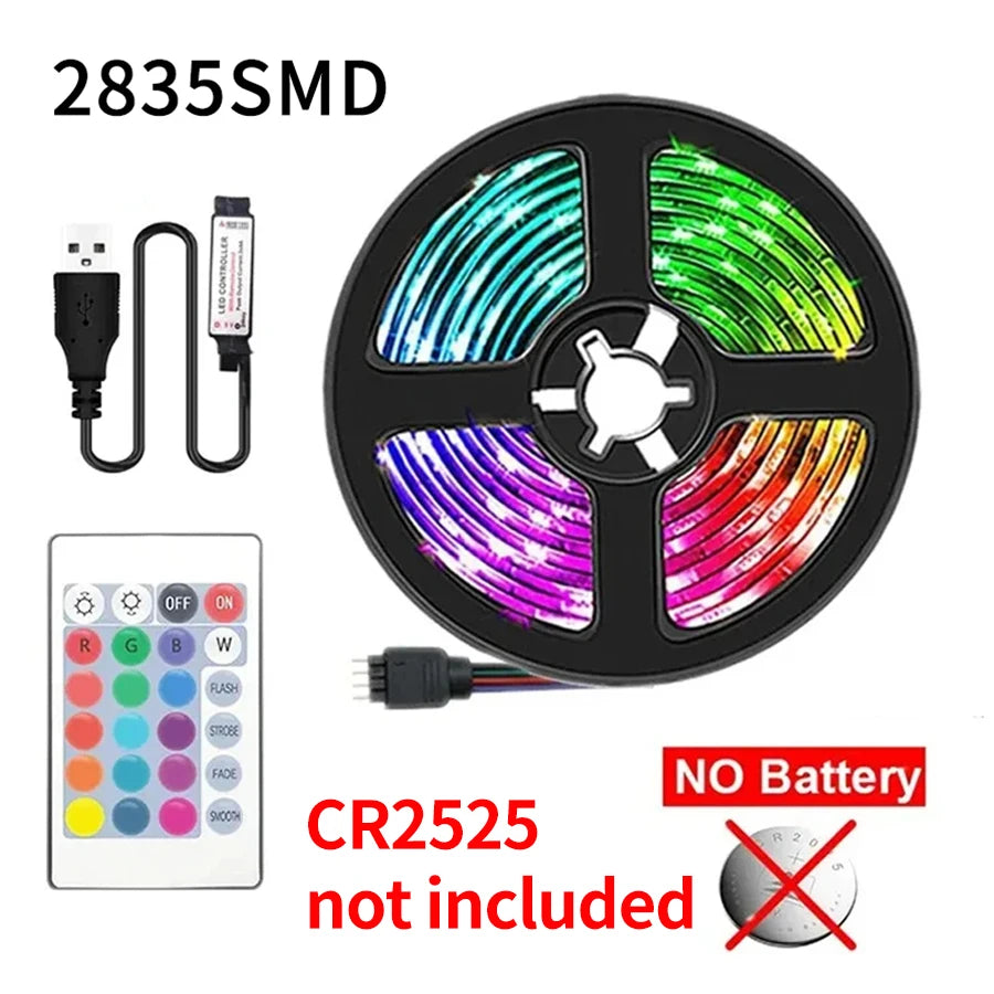 USB 2M/3M RGB Led Strip Light 2835 60Leds DC 5V RGB Ribbon Led Tape with IR Remote Control PC TV Backlight Gaming Room Decor Vue 60leds 2835 RGB 2 pieces 2M IR Remote