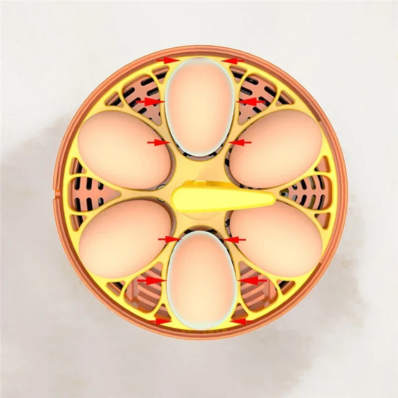 6 Eggs Automatic Turning Fully Hatchery Incubator Egg Brooder Machine Mini Household Digital Temperature Control Hatching Device Vue