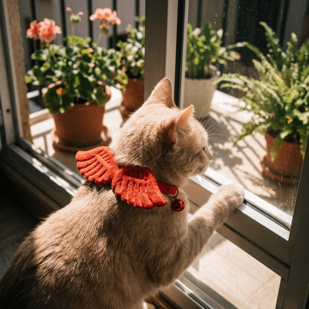 Decorative Adjustable Wings Cat Collar Lightweight Solid Color Pet Collar Soft Not Tight Nor Loose Pet Dressing Party Vue