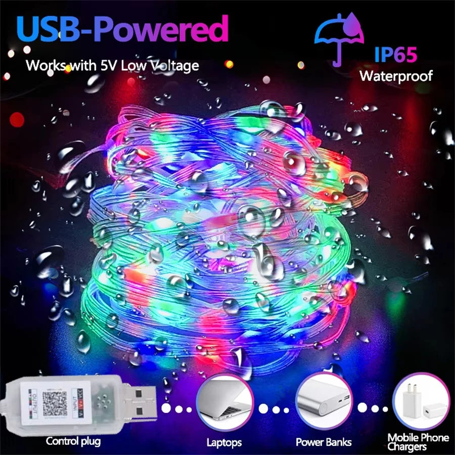 USB RGBIC LED Fairy Lights WS2812B Bluetooth Smart Control Dream Color Music Sync Waterproof Garland Holiday Wedding Decor Lamp Vue