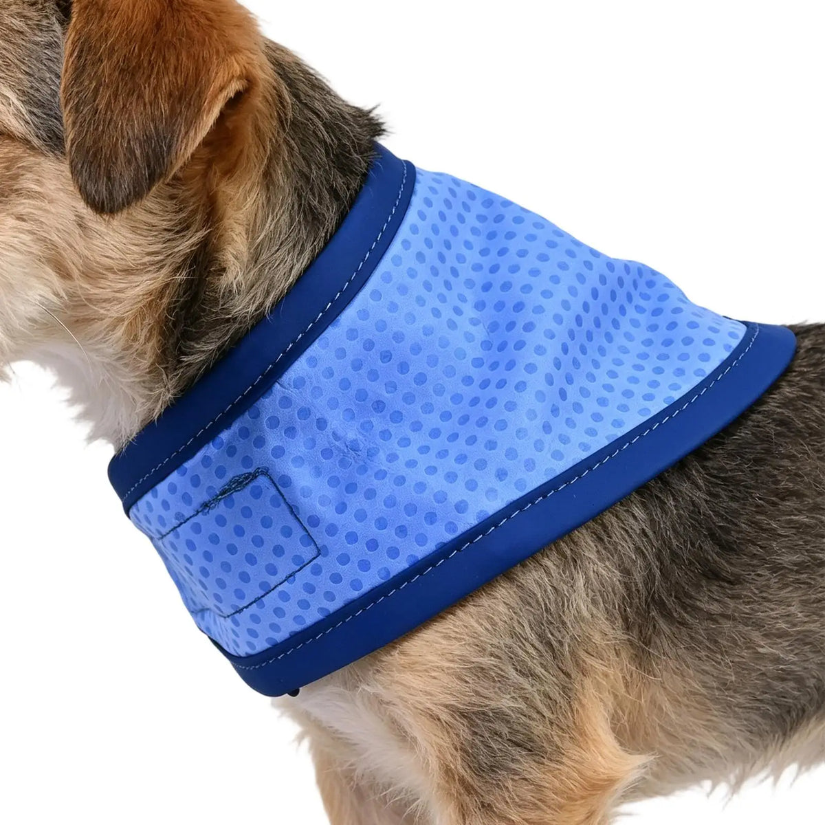 M/L Adjustable Dog Cooling Collar for Summer, Breathable Pet Neck Bandana Cooler, Reusable Puppy Cooling Scarf for Outdoor Walk Vue