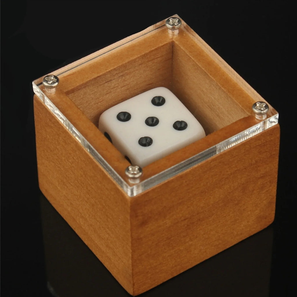 Magic Dice Magic Props Dice Trick Dot Number Change Dice Magic Stage Illusion Props Toys For Kids Adults Vue