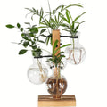 Hydroponic Plant Glass Vase, Modern Desktop Plant Terrarium Planter Bulb Water Planting Propagation Planters Hydroponics Plants Vue China Mainland