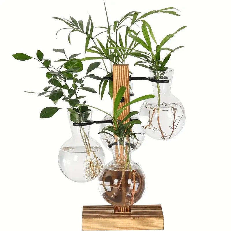 Hydroponic Plant Glass Vase, Modern Desktop Plant Terrarium Planter Bulb Water Planting Propagation Planters Hydroponics Plants Vue China Mainland