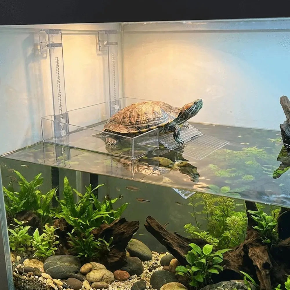 Plastic Turtle Basking Platform Height Adjustable Suction Cup Turtle Climbing Slope Non-Slip Sun Drying Dock Vue