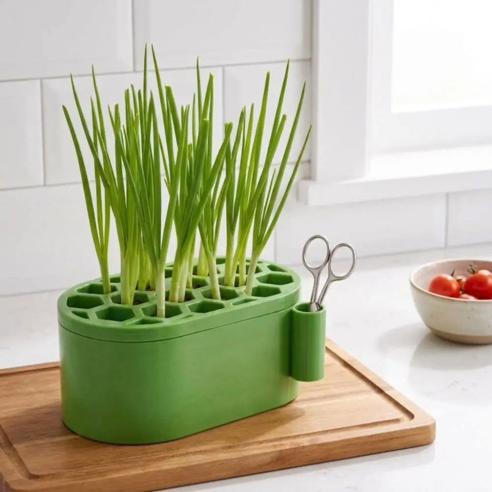 Automatic Watering Green Onion Regrow Kit Soil-Free Fast Regrowth Hydroponic Planting Pots Continuous Harvest Vue