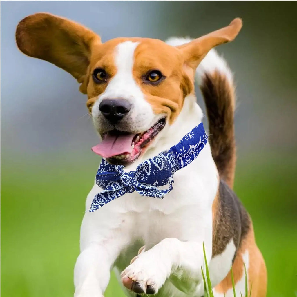 Dog Cooling Bandana Breathable Absorbent Towel Ice Neck Wraps Scarf for Cat Puppy Medium Large Small Home Travel Outdoor Hiking Vue