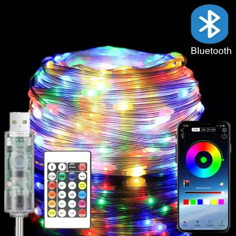 5/10/20M RGBIC USB LED Sting Light Bluetooth Music APP Programmable DIY Fairy Lights Birthday Party Garland Christmas Decor Vue