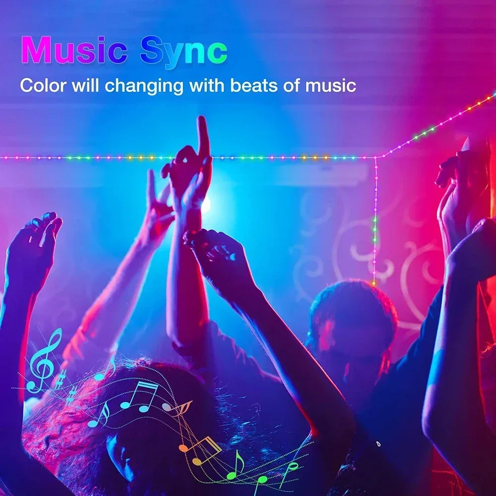 5M/10M/20M RGBIC LED Smart Fairy Lights Bluetooth APP Control String Light DIY for Christmas Party Wedding Home Decoration Vue