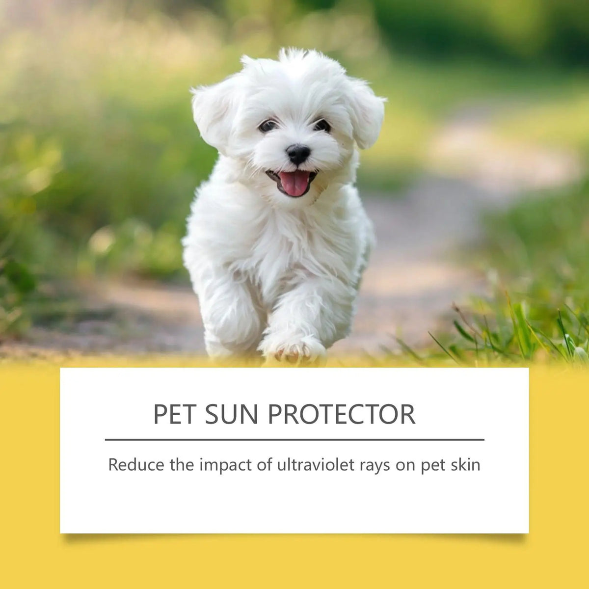 60ml Natural Dog Sunscreen Spray UV Protection Moisturizing for Hot Weather Outdoor Hiking Trip Swimming Beach Daily Pet Use Vue